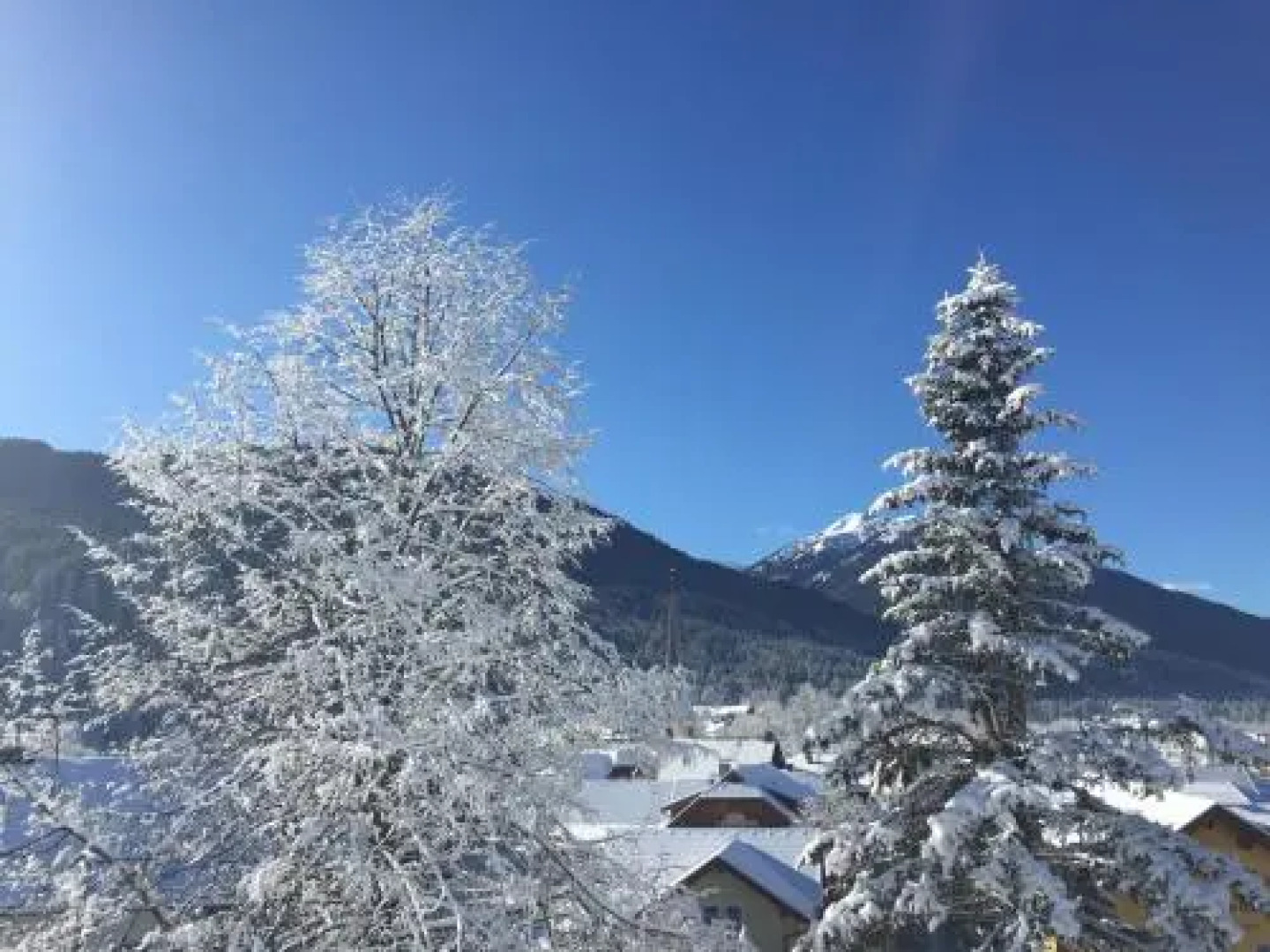 56er Herzog Apartments