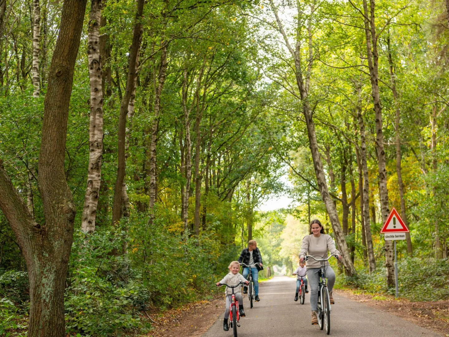 Wooden chalet with microwave, on a holiday park near three national parks