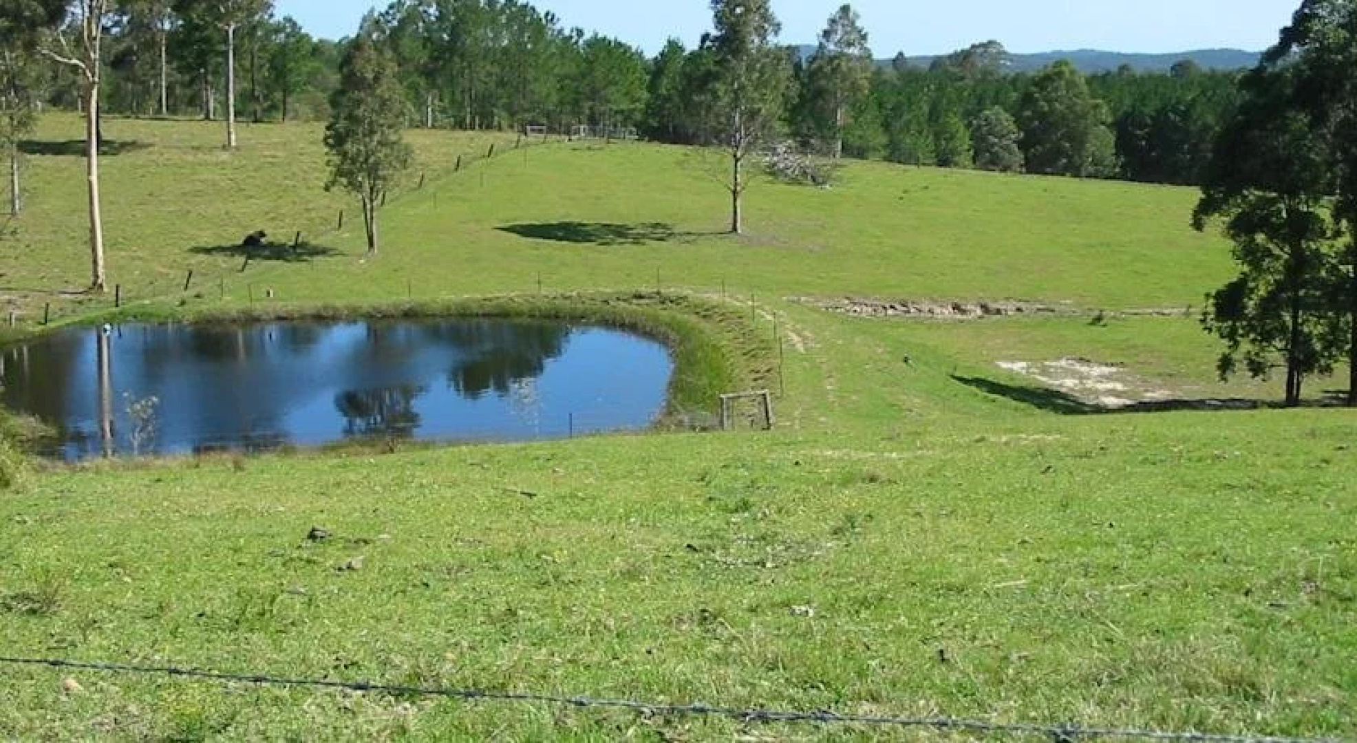 Lavender Grove Farm Bb