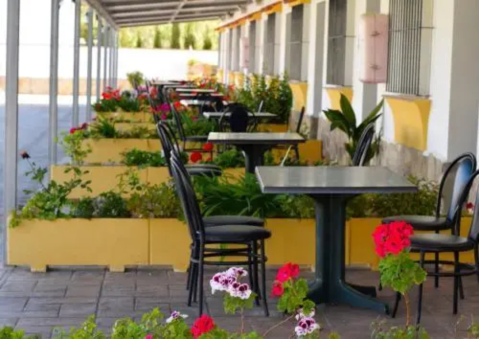 apartamentos Pericón