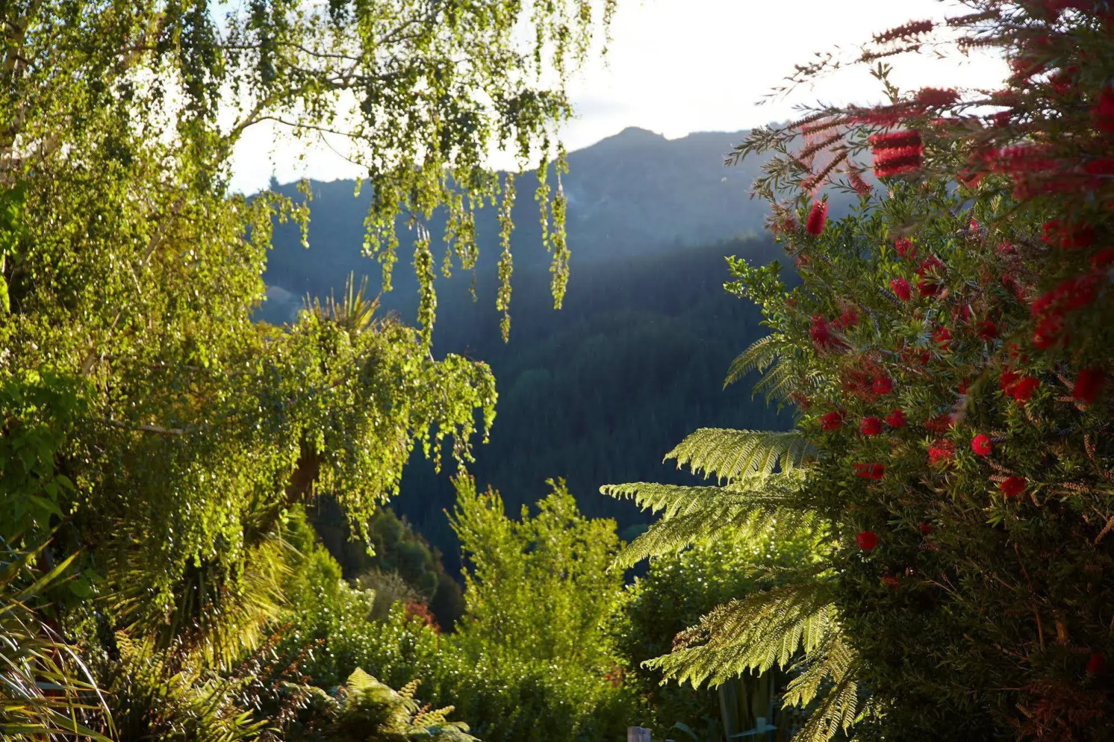 The Resurgence - Luxury Eco Lodge