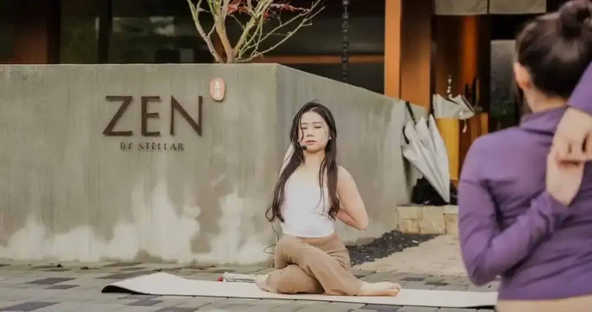 Zen By Stellar Cameron