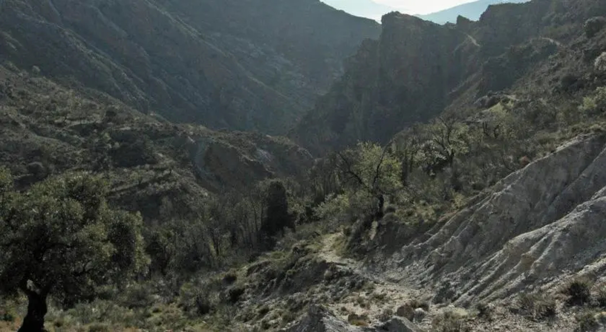 El Mirador de El Fuerte