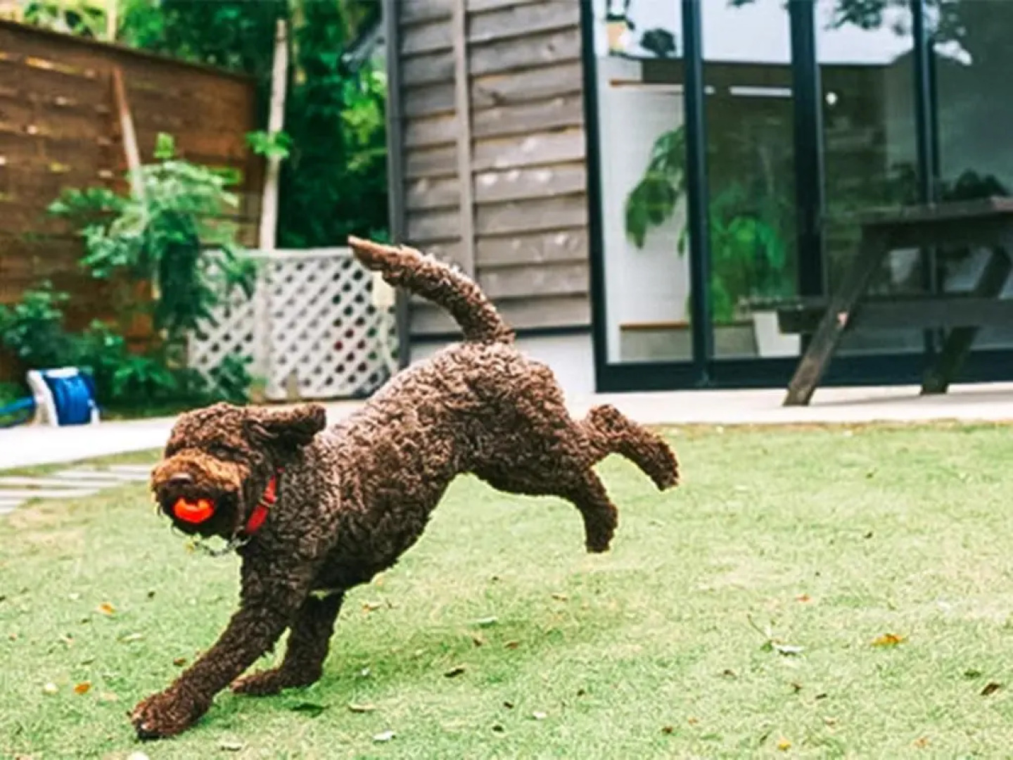 Capetown Resort - Vacation STAY 96524v