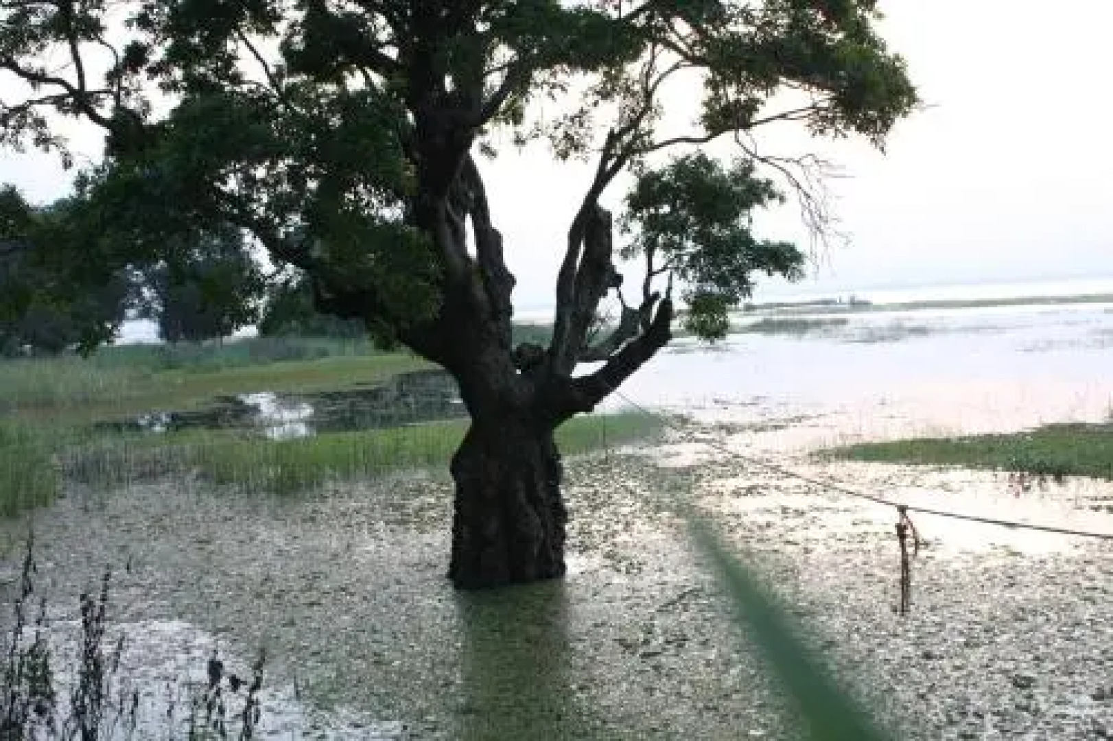 White Palace Family Resort