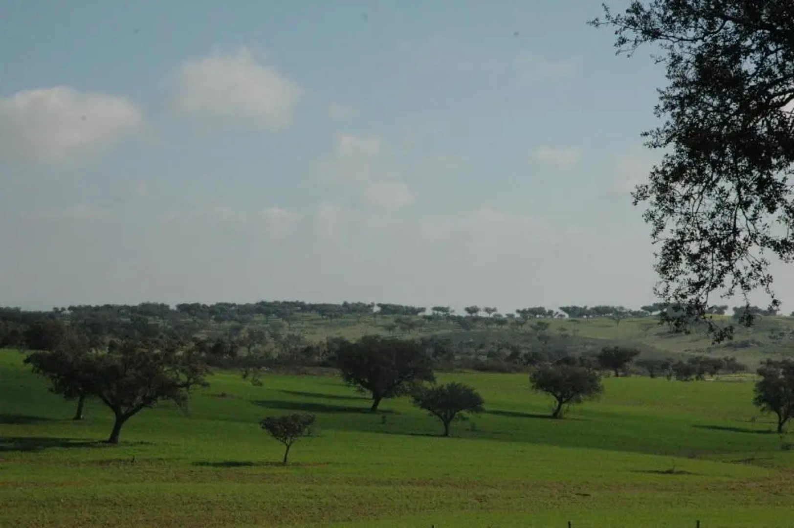 Herdade do Monte Outeiro - Turismo Rural