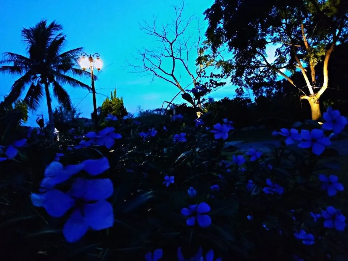 Angel Fairytale House