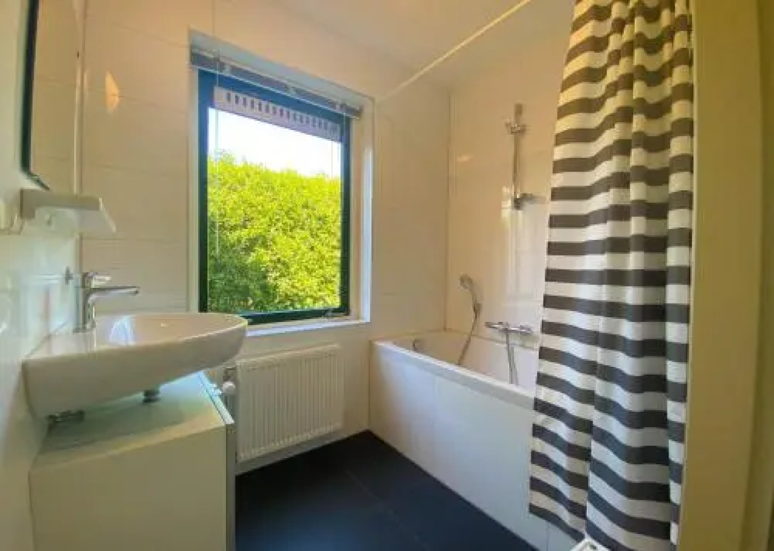 Park Schoneveld: Zeemeeuw 126