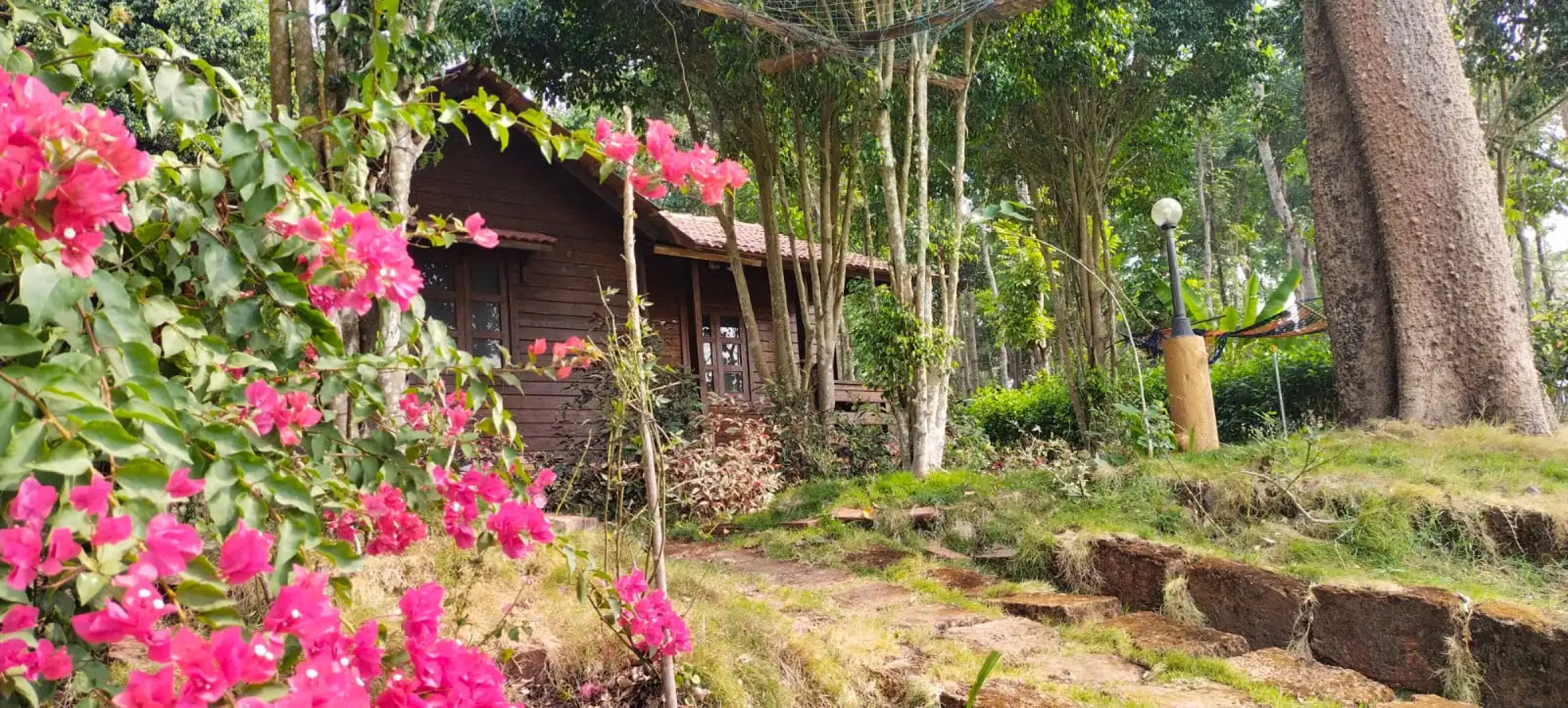 George's Cottages & Resorts