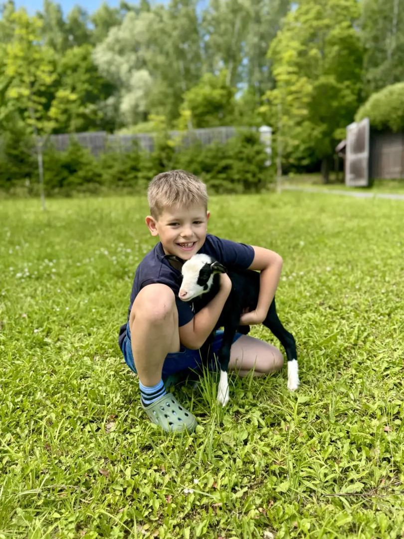 Дом на лесной опушке