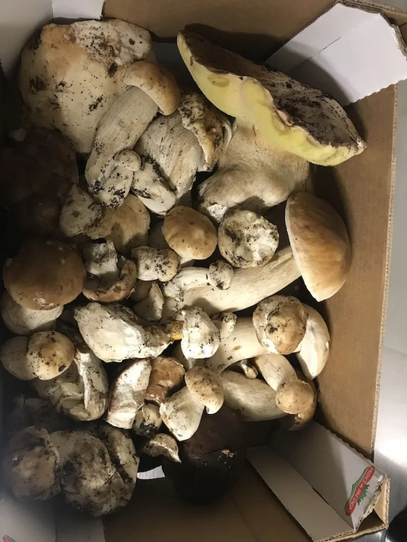 Aux Berges De Pareloup - Annexe