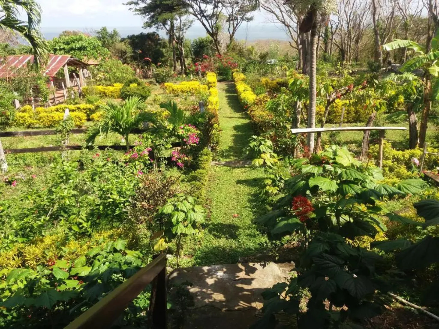 Hotel Finca Magdalena