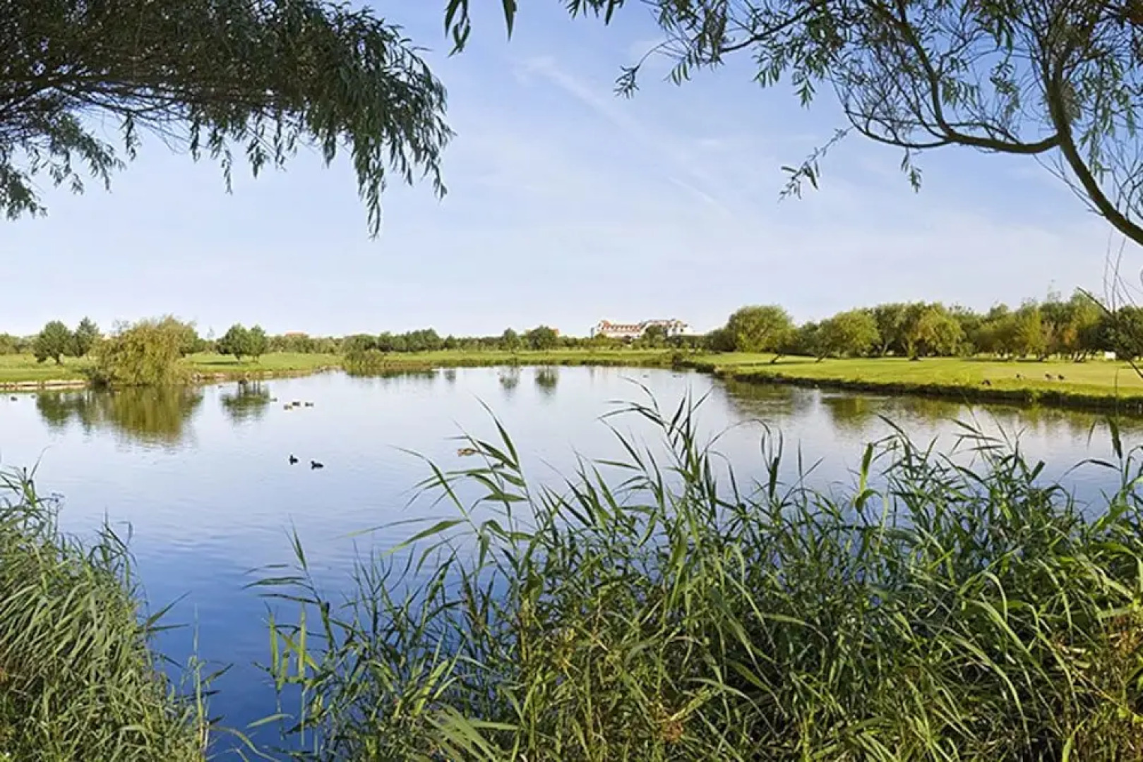 La Grande Mare Hotel Golf & Country Club