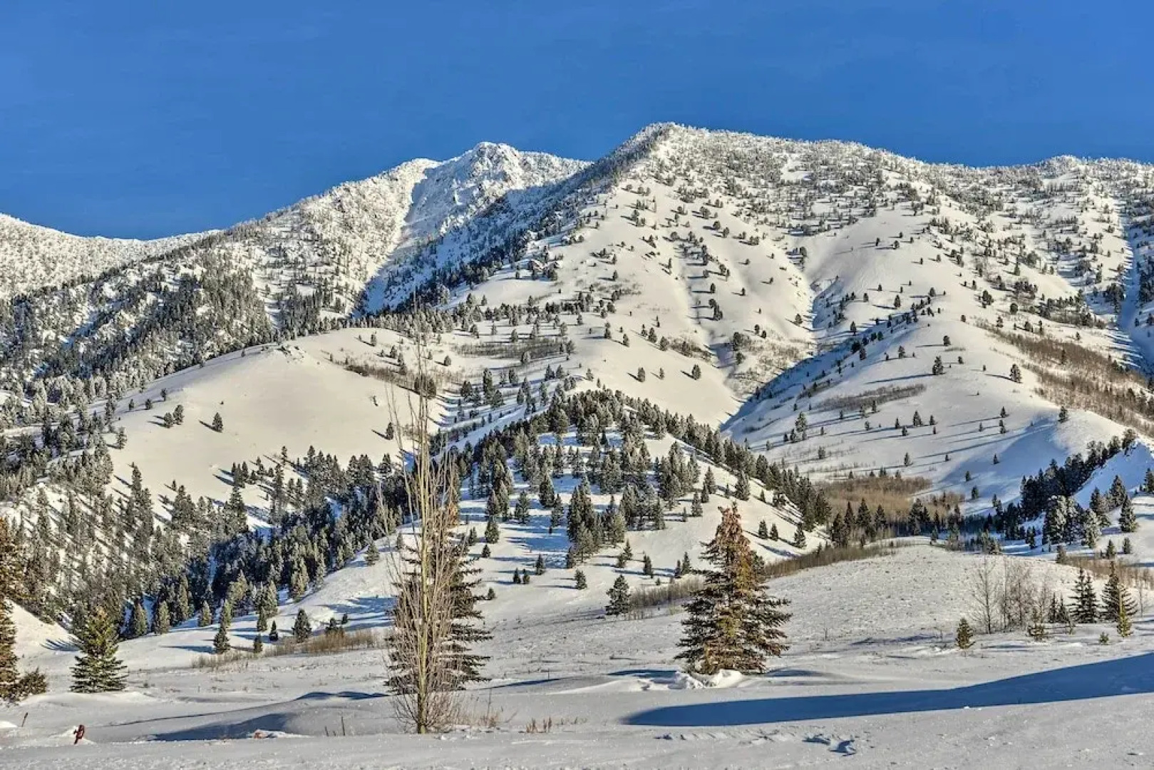 Cozy Island Park Cabin, 20 Mi to Yellowstone!