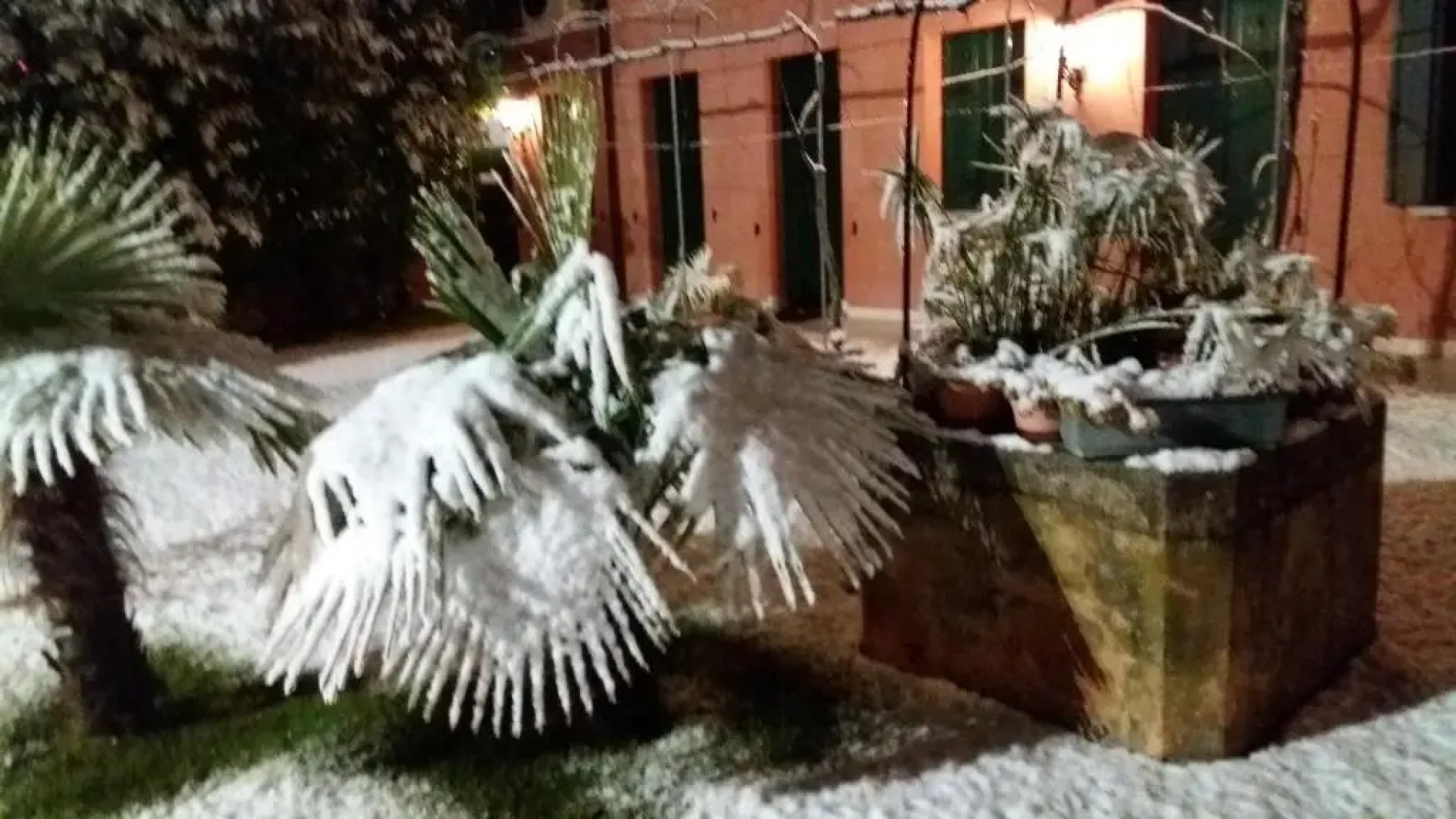 Dreon B&B and Apartments