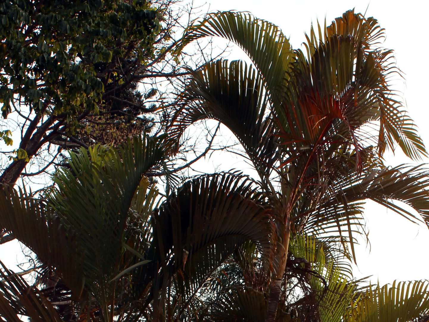 Deja View Exclusive Guest House