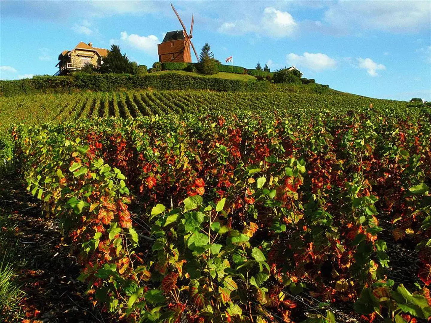 ibis Styles Reims Centre Cathédrale