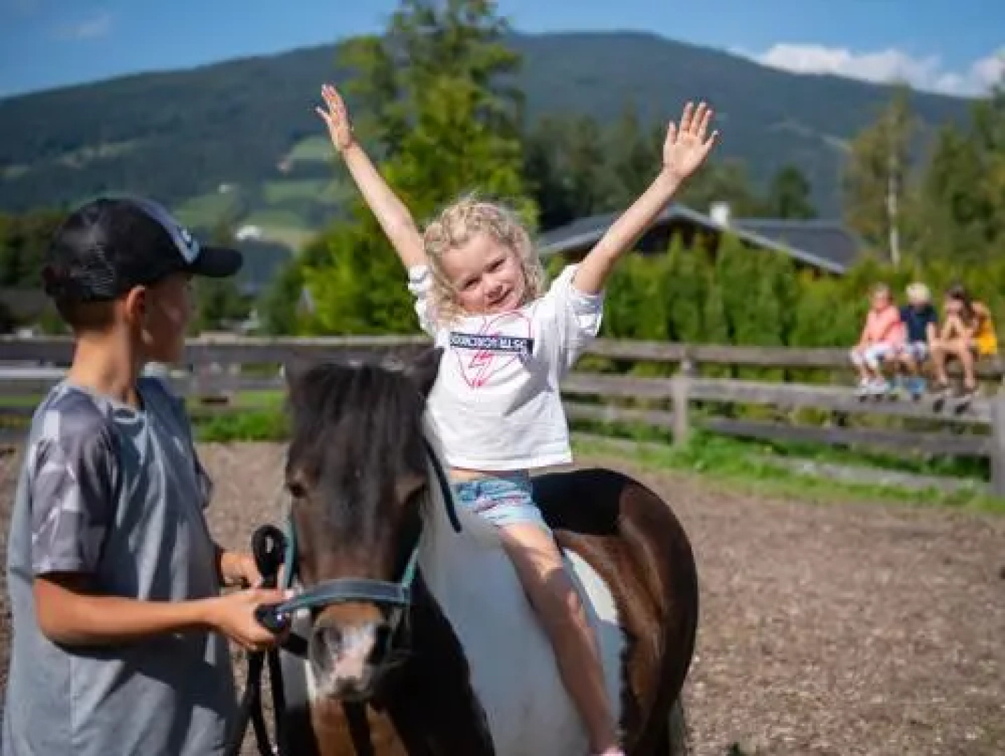 Apartment Viola Altenmarkt