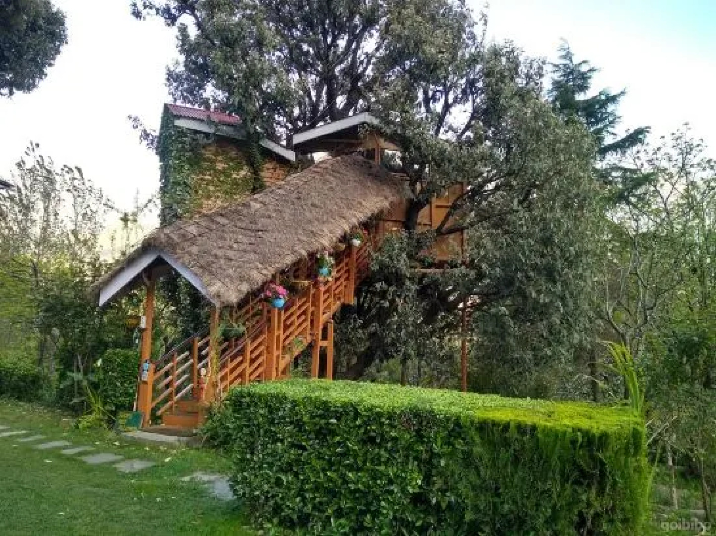 Manali Treehouse Cottages