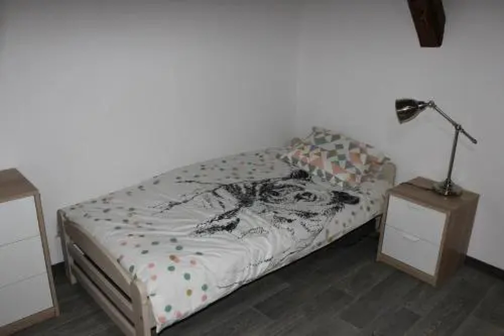 Gîte de l'ours grognon