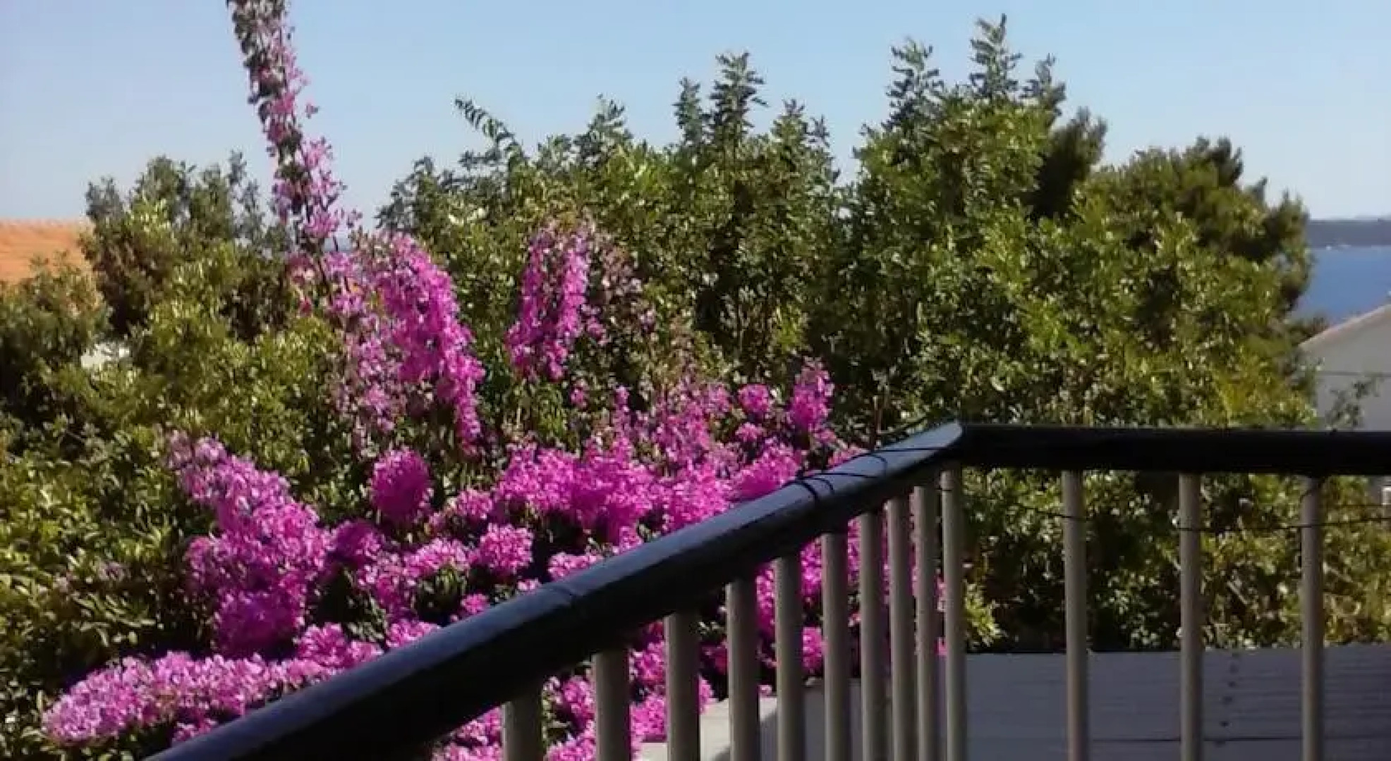 Apartments and Rooms Batoš