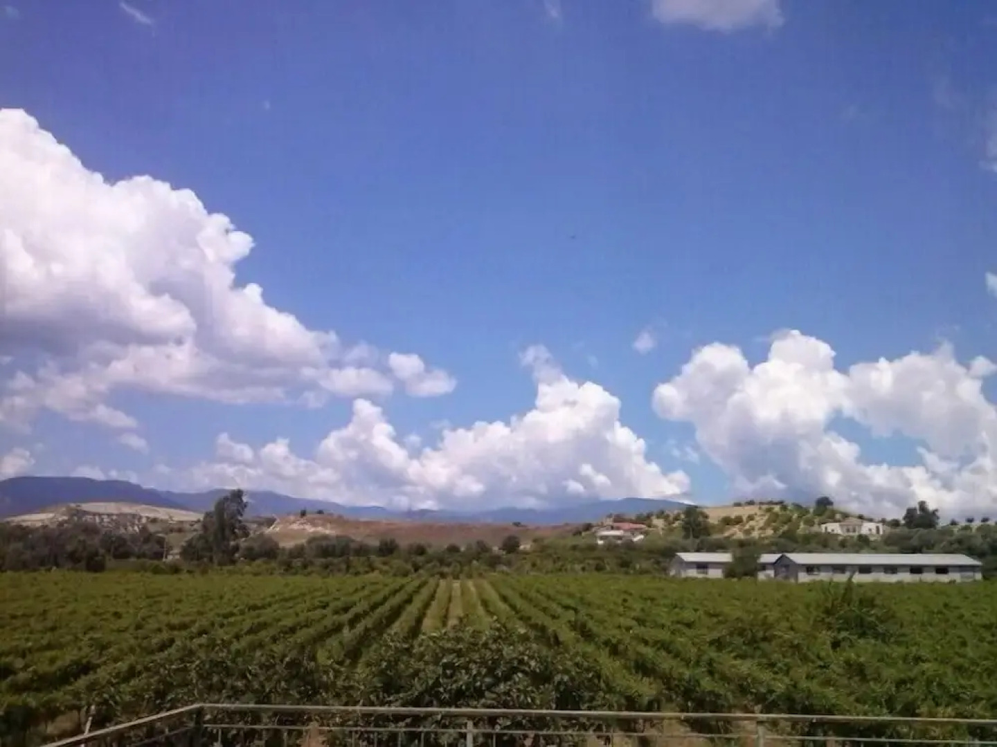 Agriturismo Nereide Ceratti