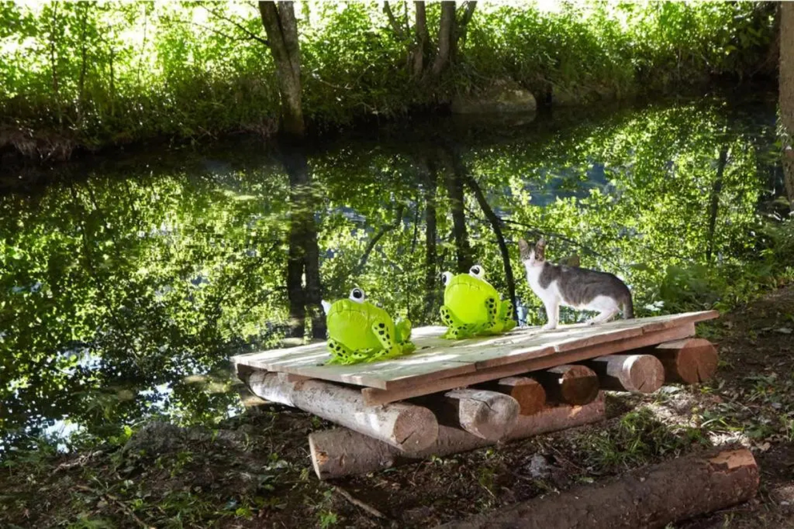 House Mavko Near Lake Cerknica