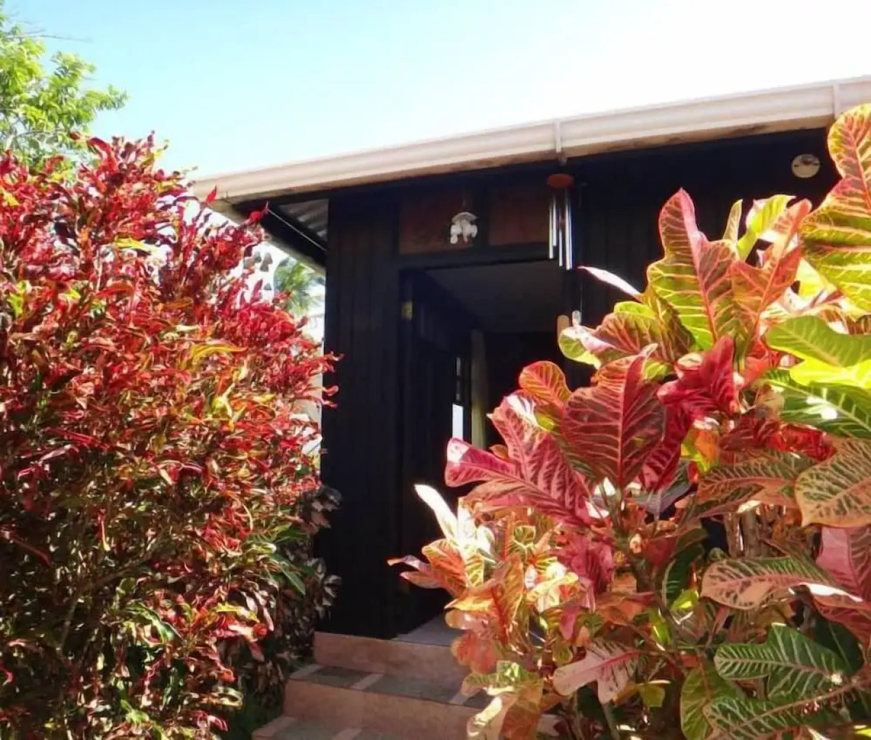 Posada Come So In The Bush