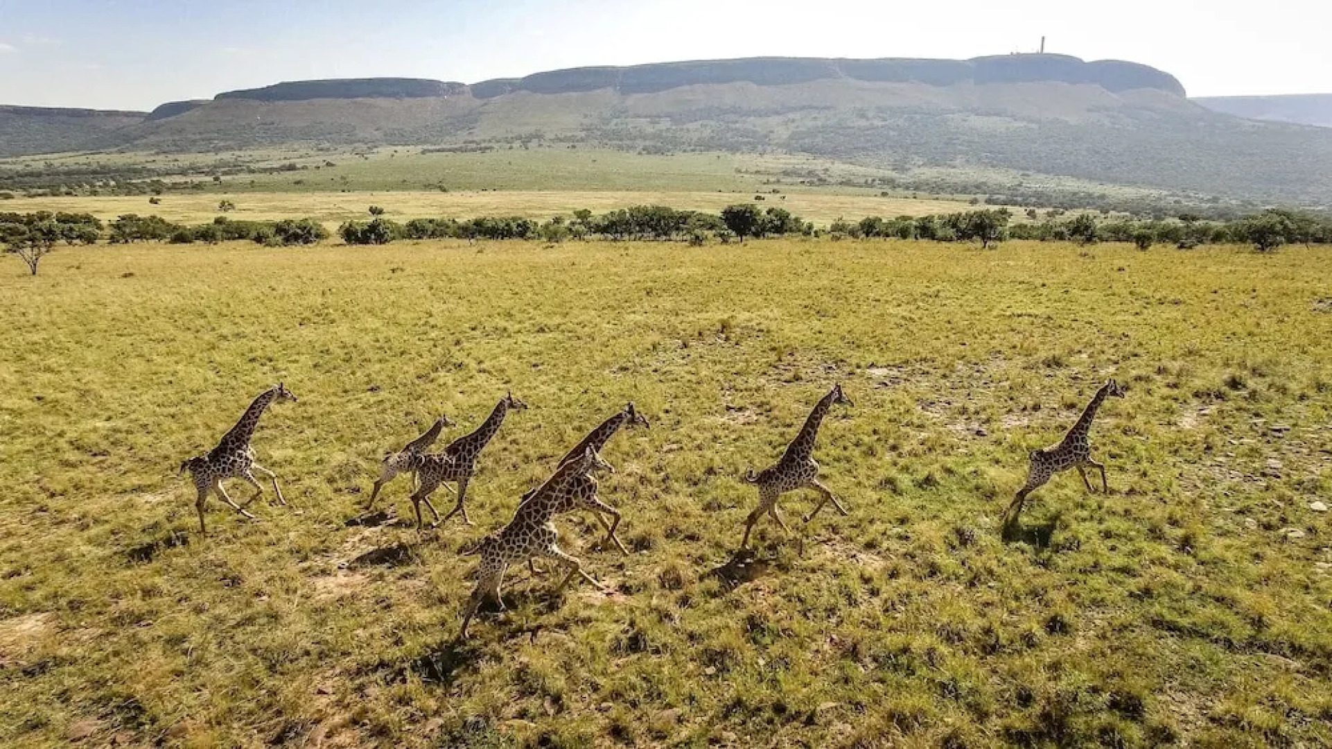 African Hills Safari Lodge & Spa