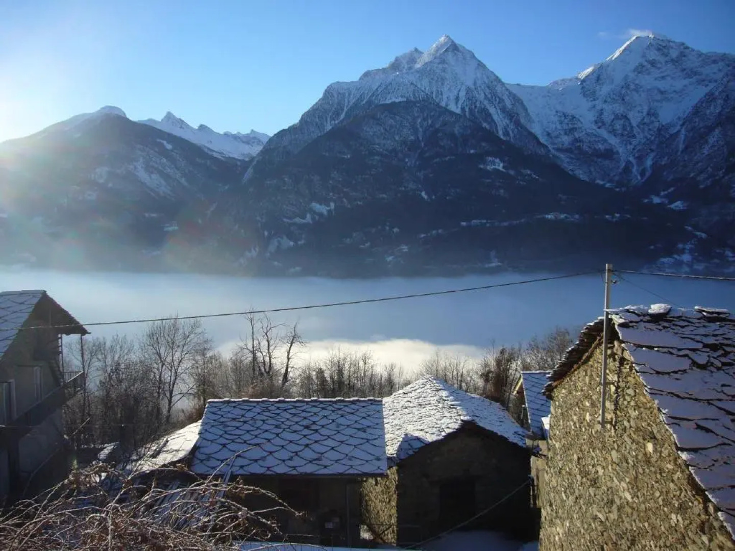 Le Chaton Fait Ronron