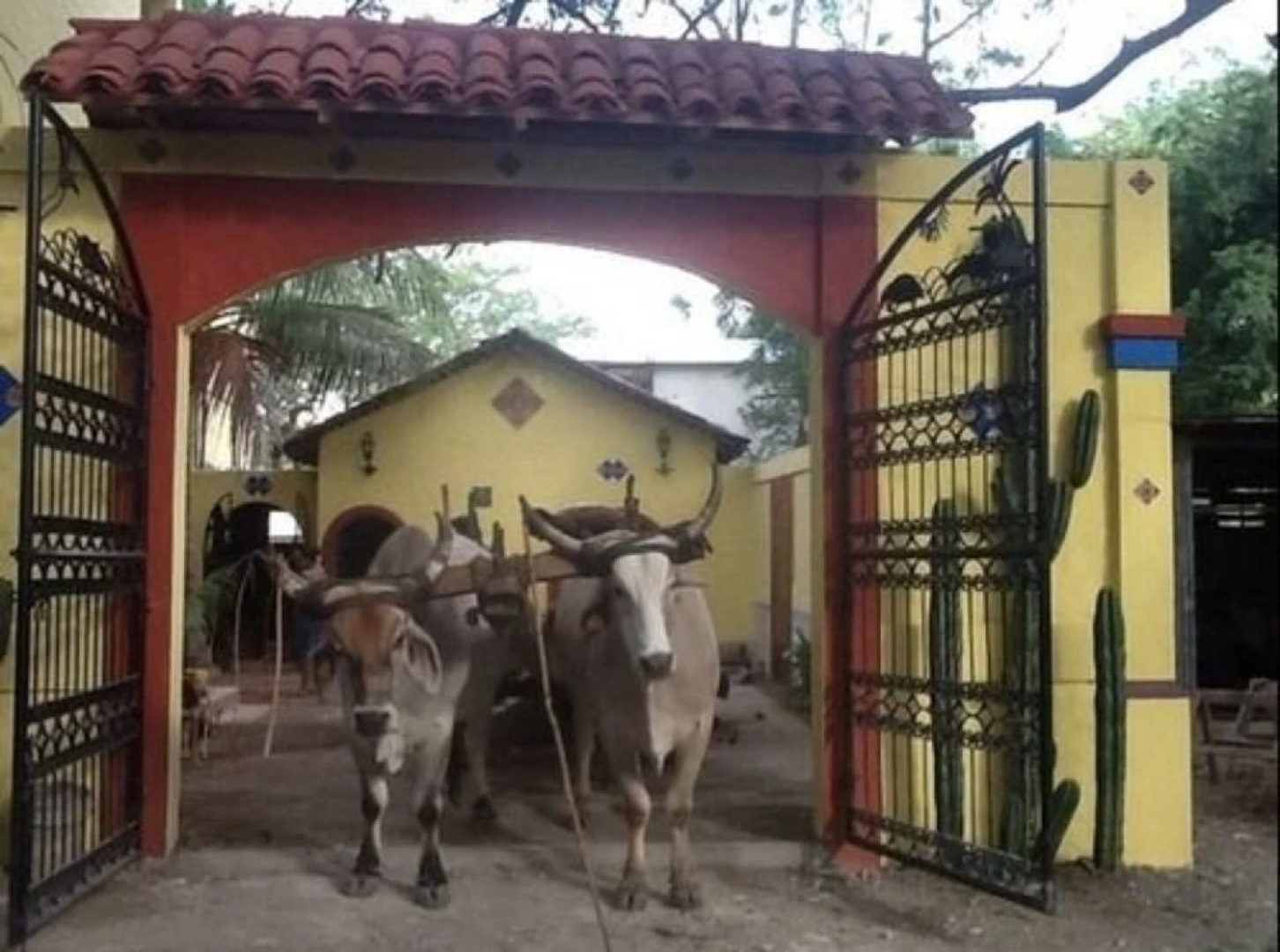 Hacienda Amarilla Del Mar