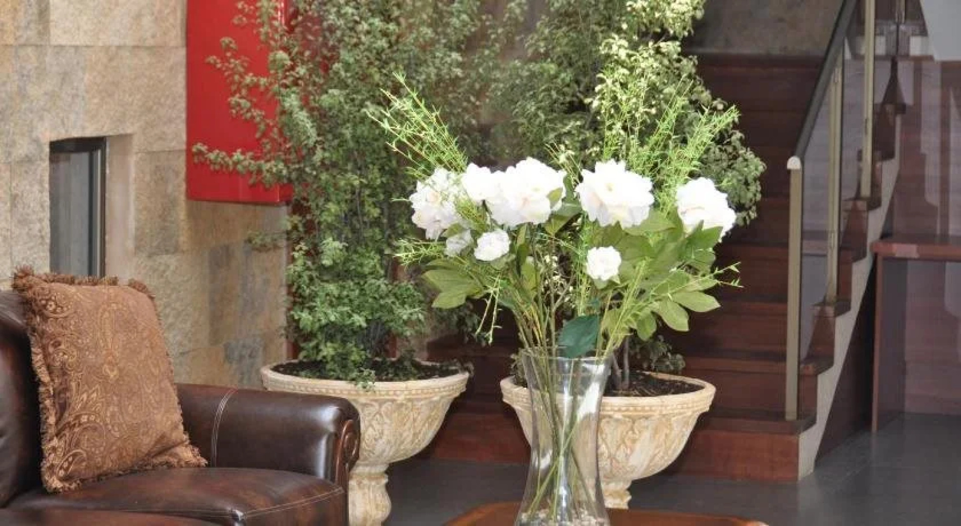 Nuevo Hotel Constitucion