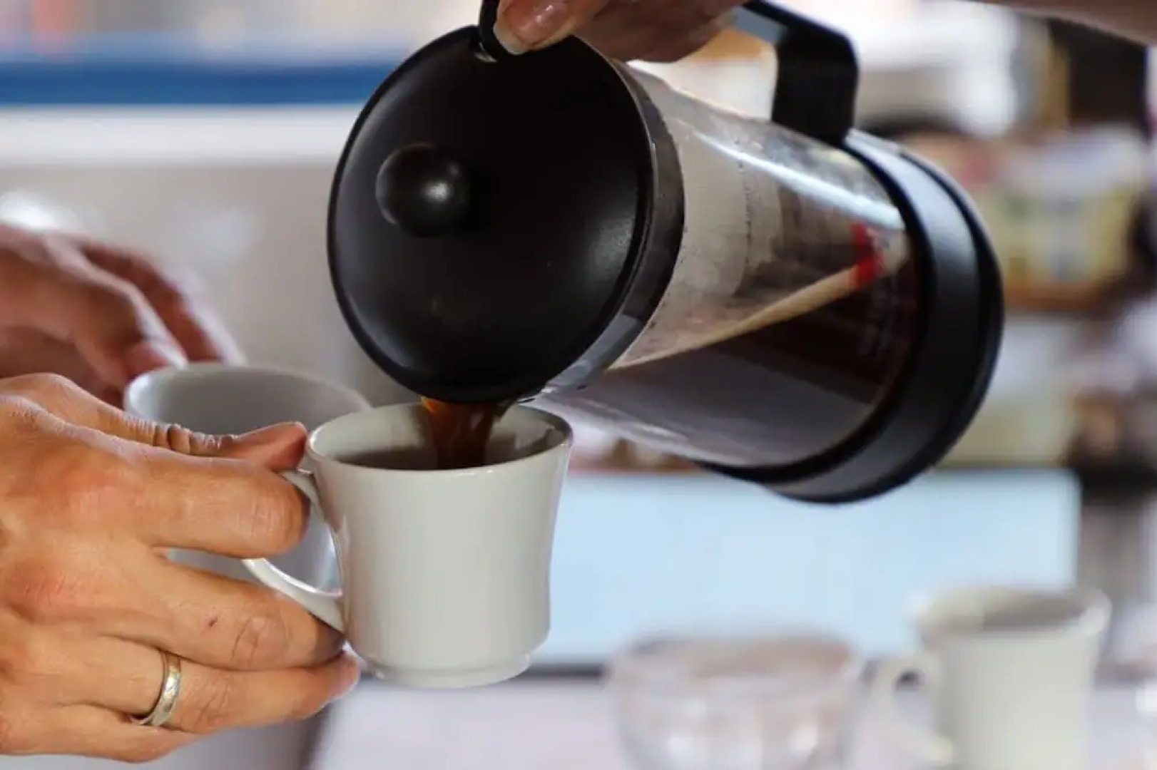 Finca Temática Cafetera Las Mercedes