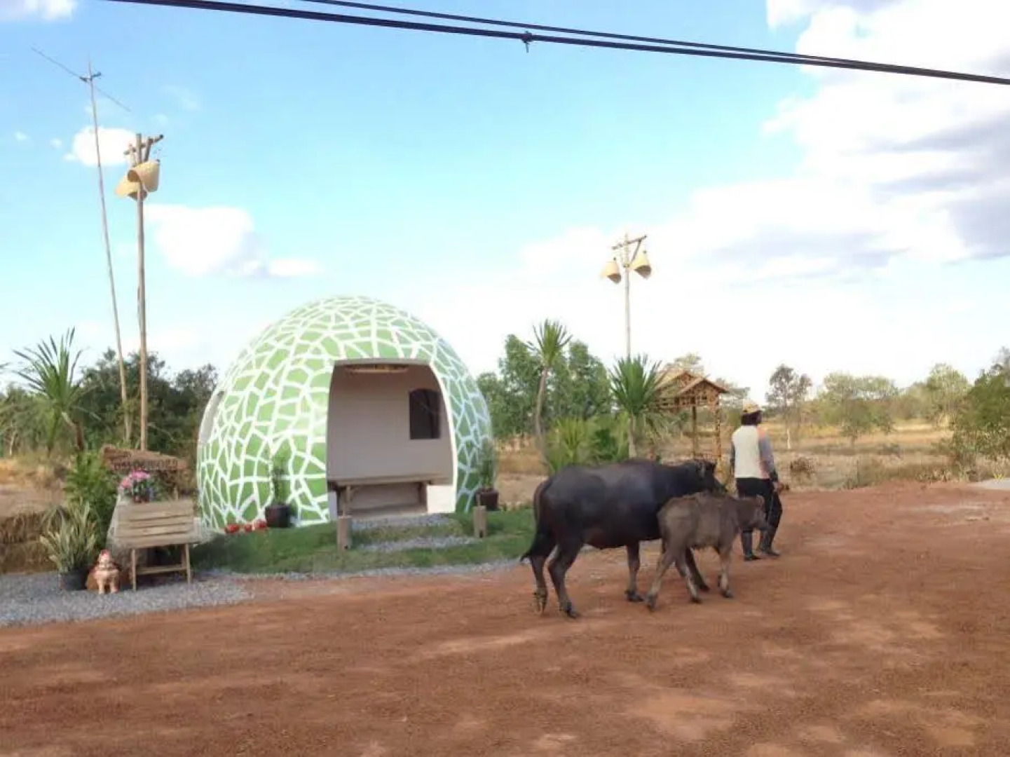 The Country Farm Resort & Homestay