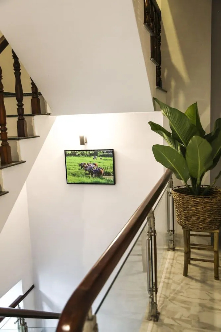 Rabbit Hostel Can Tho