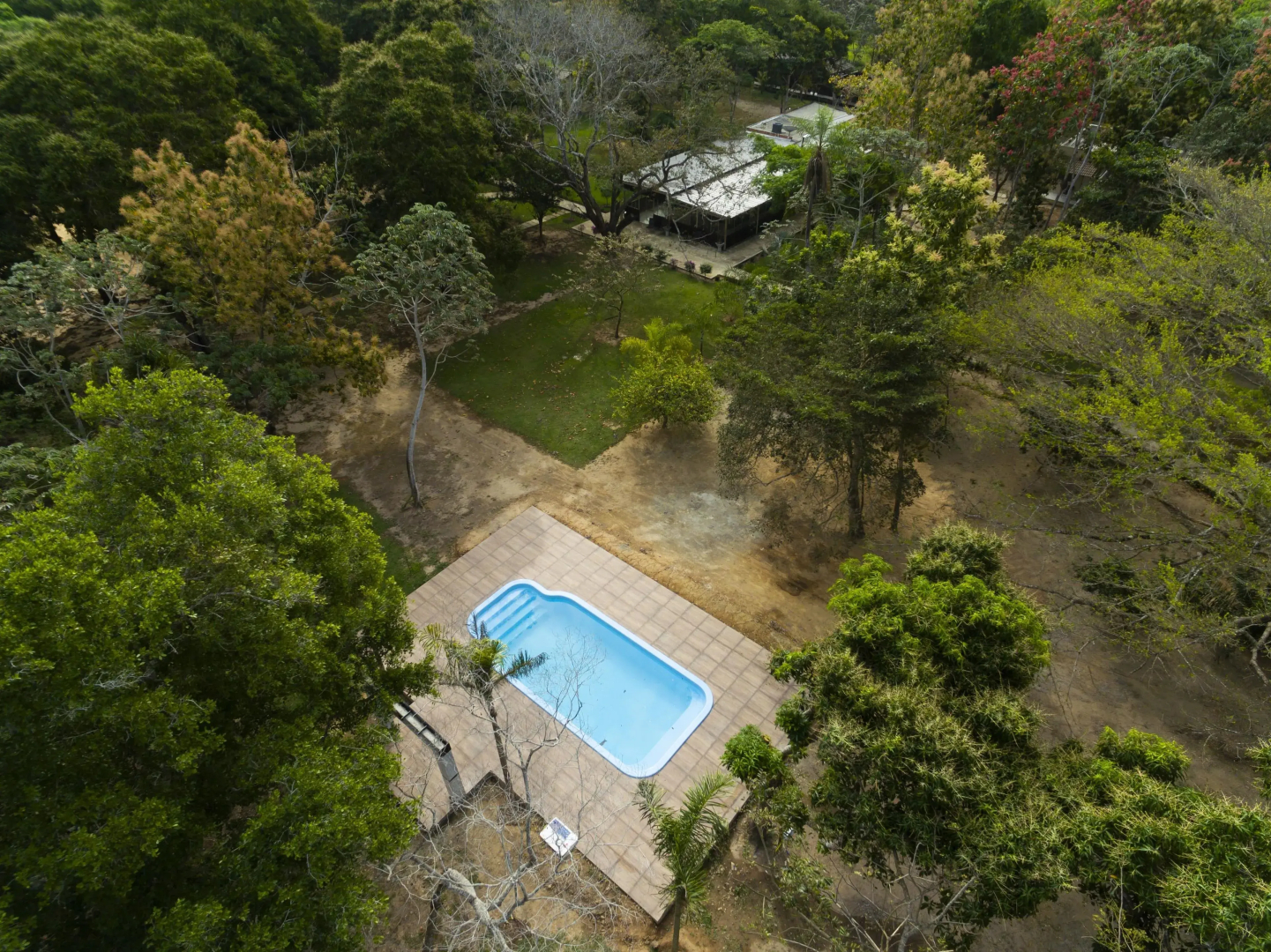 Porto Jofre Pantanal