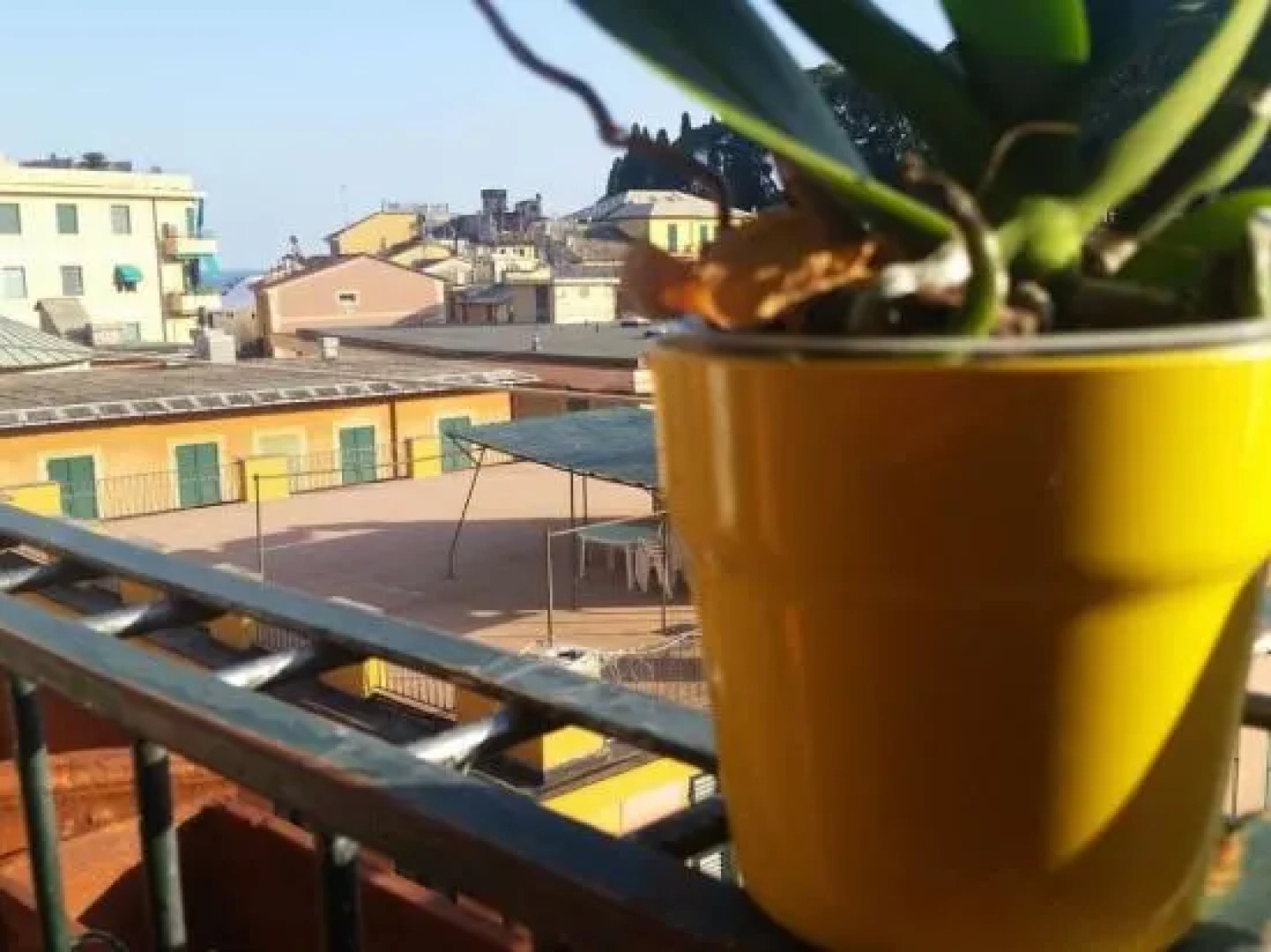 Appartamento Splendid