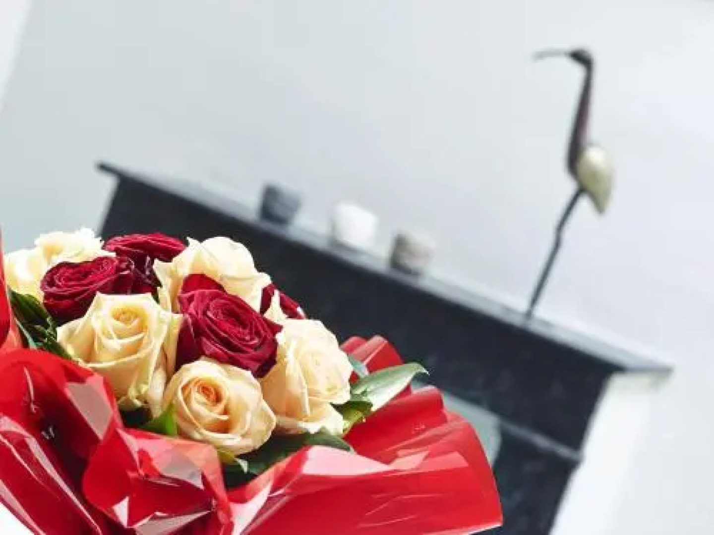 Appartement Terra XXL