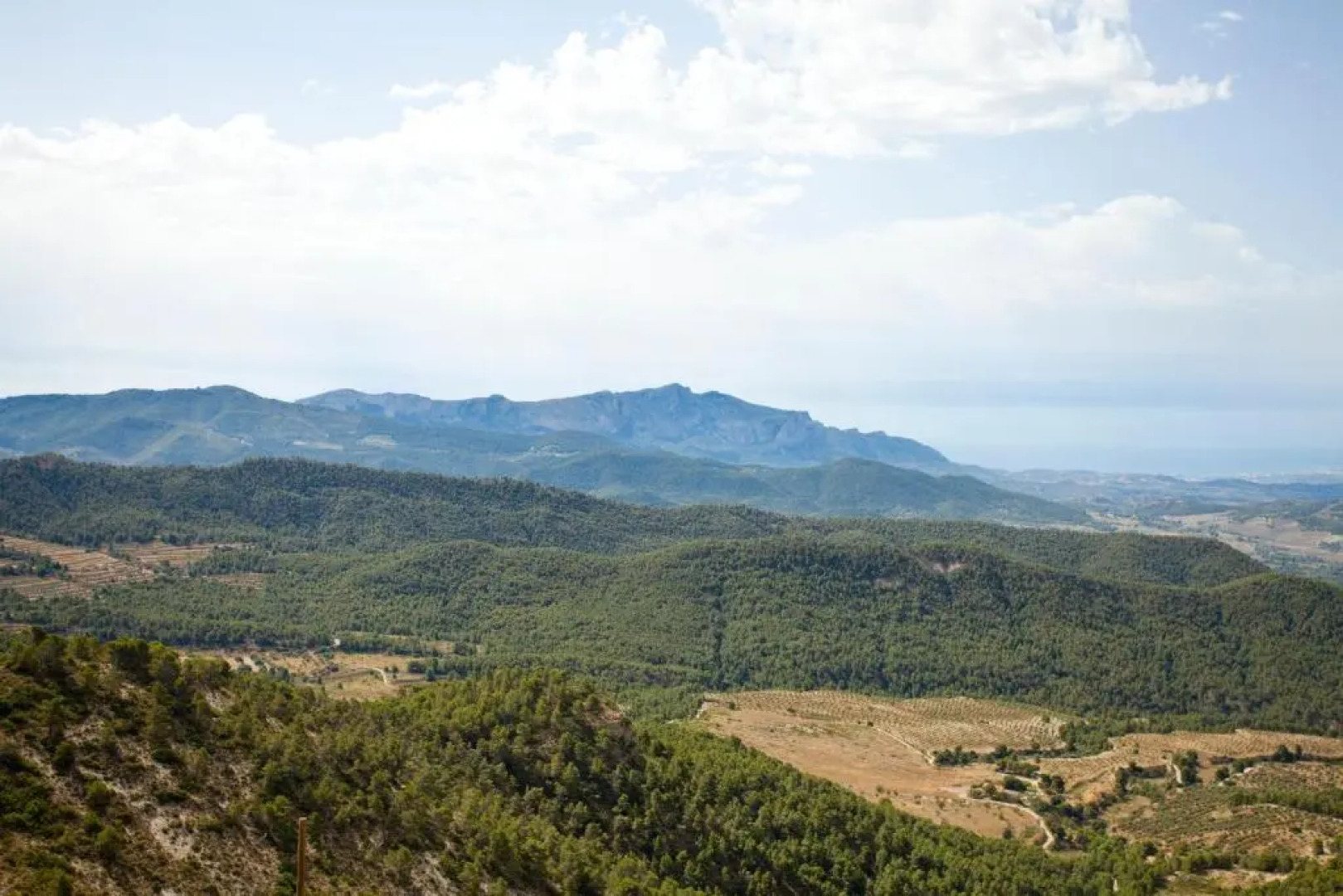 Hotel Boutique Carrasqueta Alicante-Xixona