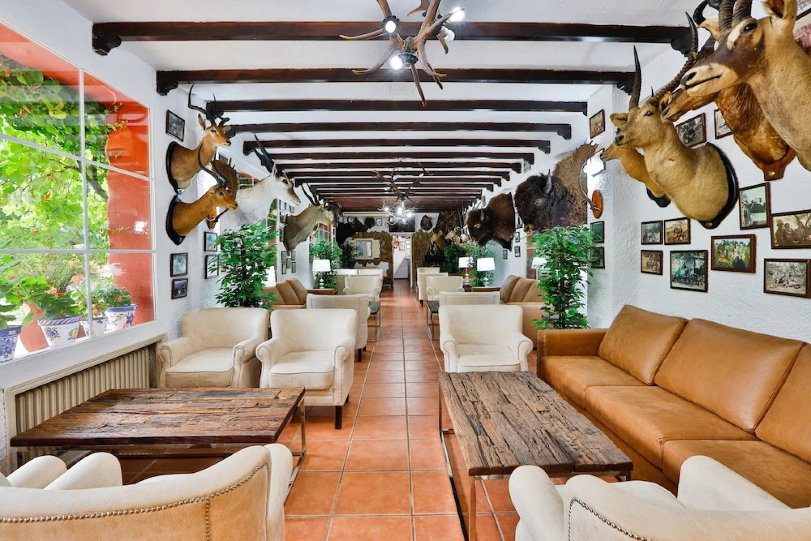 Noguera de la Sierpe