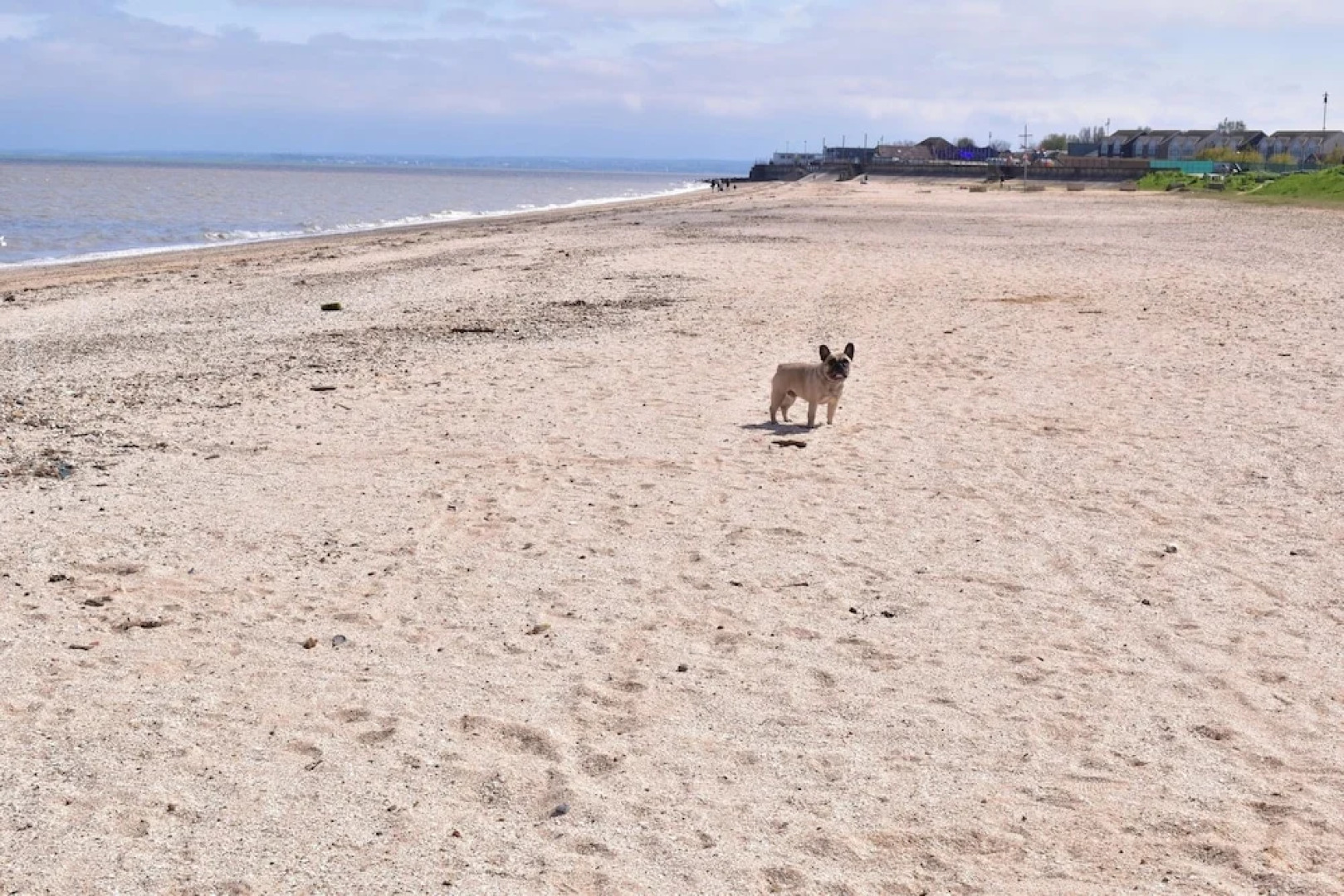 1 Bed Chalet - Sleeps 4 - Pets, Parking, Wifi