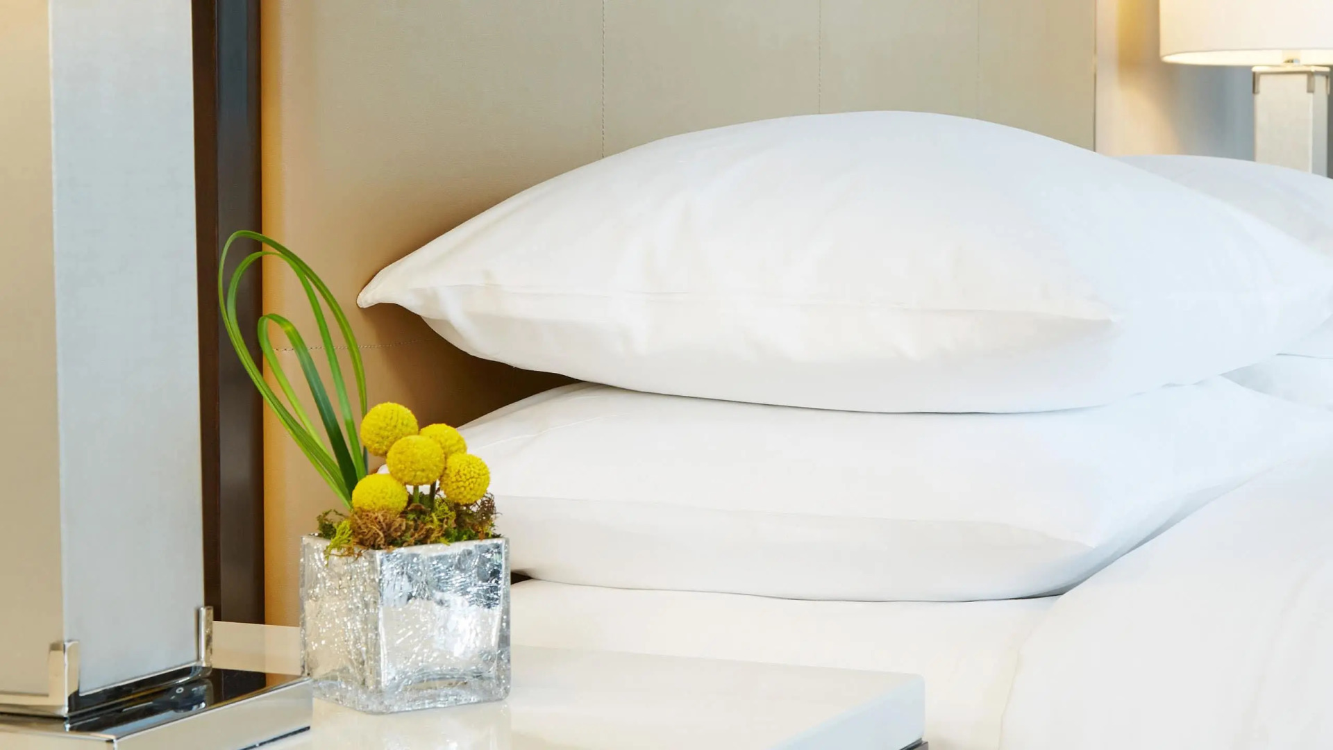 Hyatt Regency Atlanta Perimeter at Villa Christina