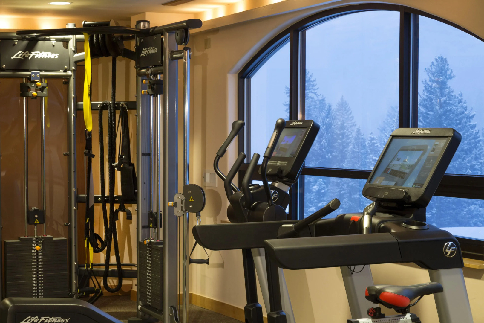 The Edelweiss Lodge and Spa