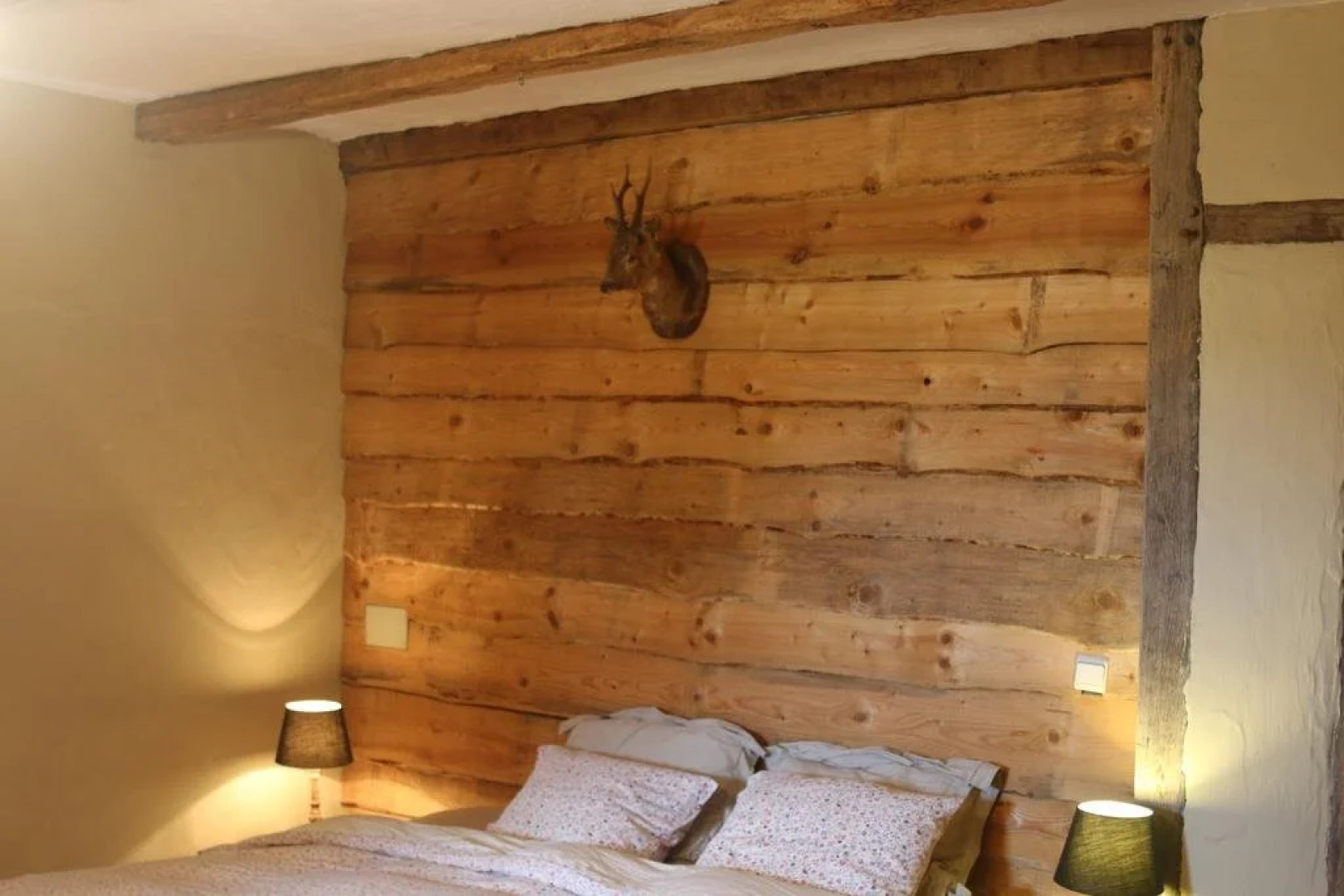 Gastenlogies Blauwe Schaap