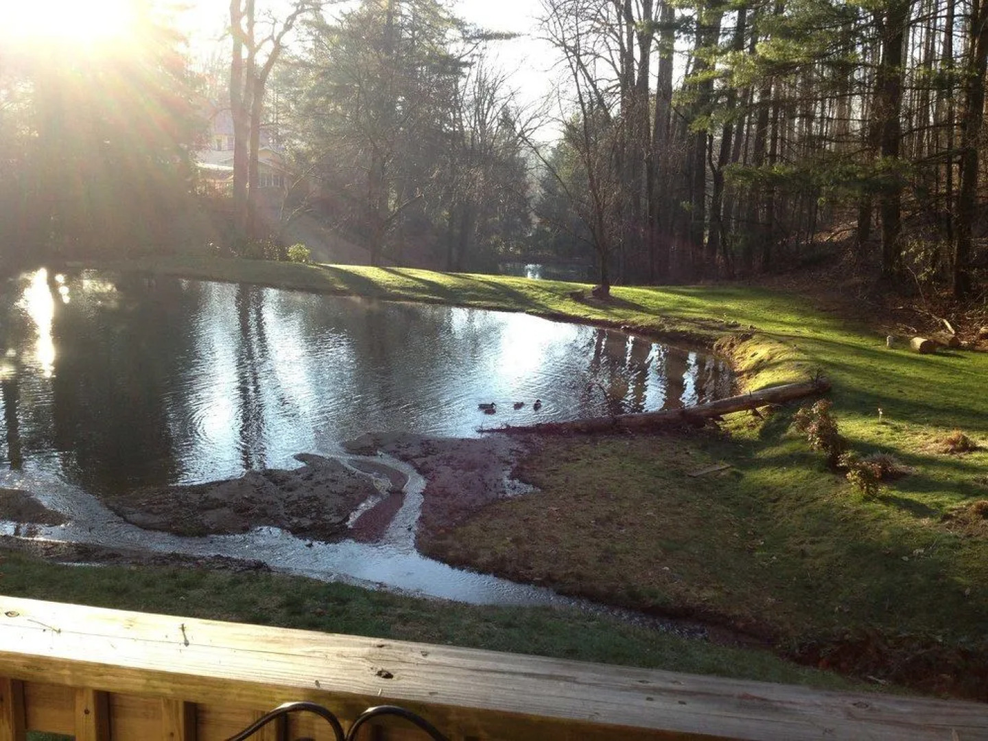 The Yellow House on Plott Creek Road