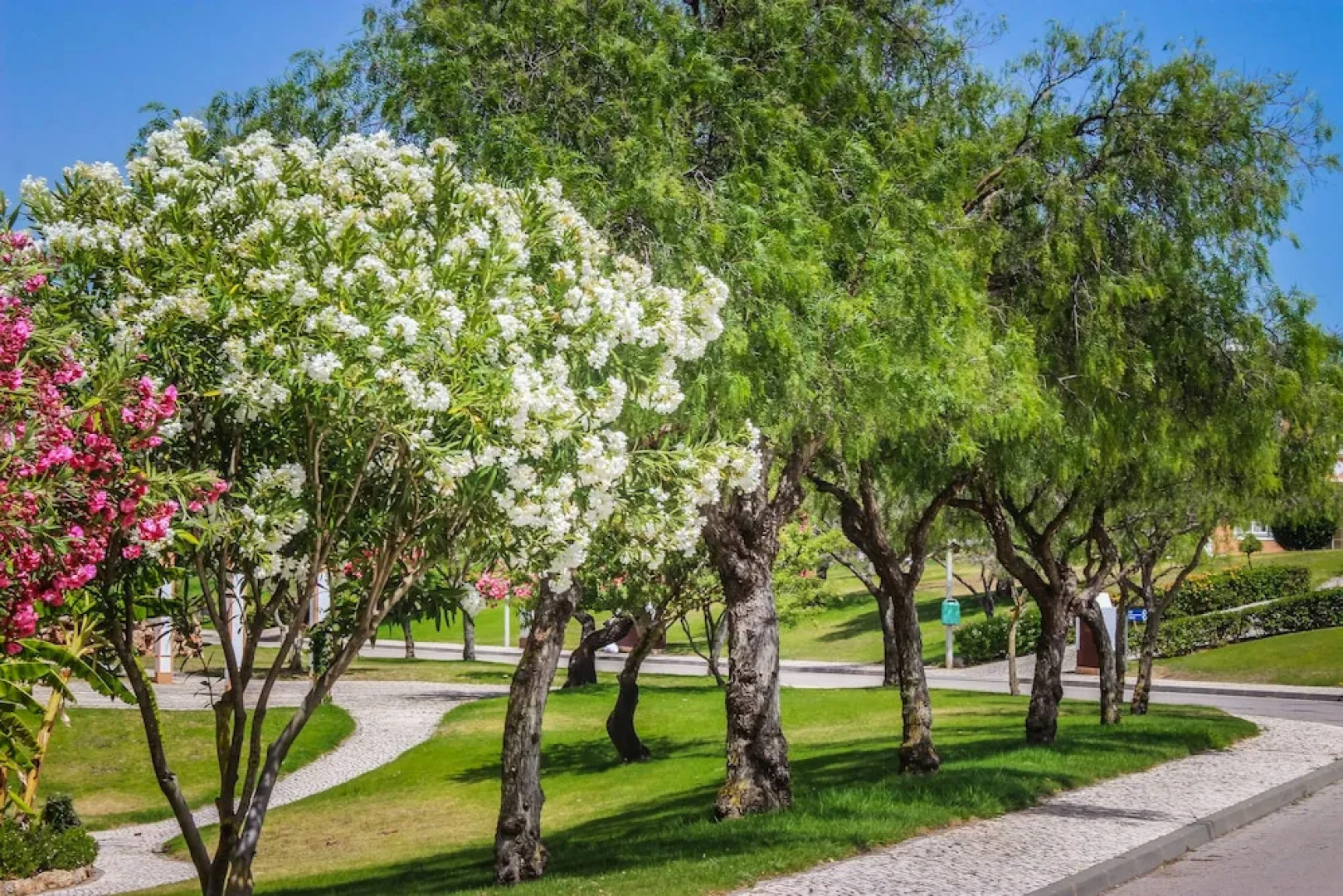 Colina Villas (duplicated -correct ID2750)