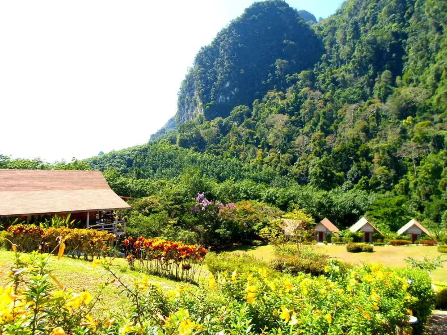 The Cliff and River Jungle Resort