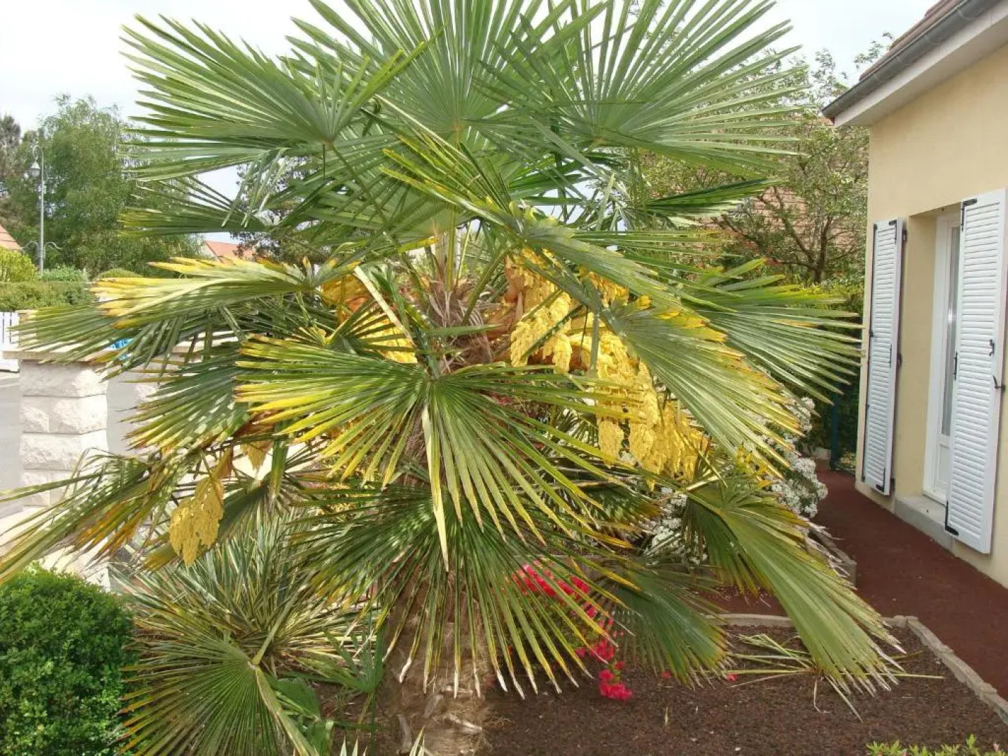 Chambres d'hôtes Sébastien et Stéphanie