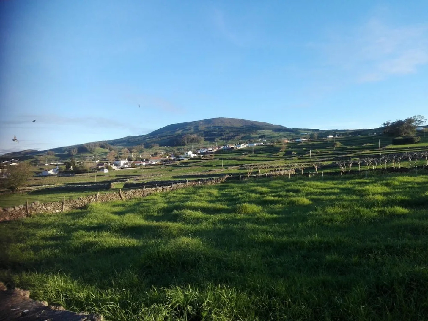 House With one Bedroom in Cinco Ribeiras, With Wonderful Mountain View