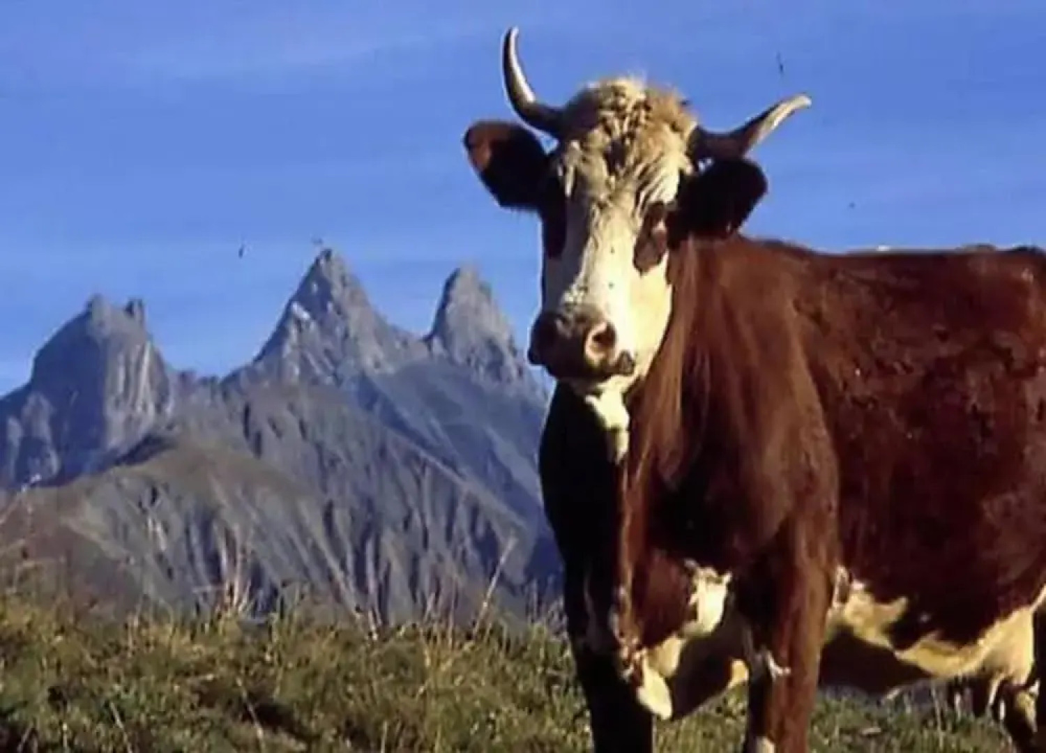 Studio in Saint-sorlin Near Ski Slopes